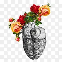 器官与玫瑰