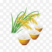 稻谷和米饭