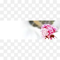 女装扁平