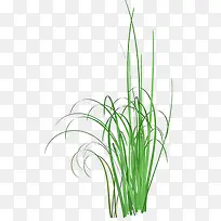 草丛