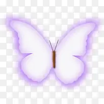 梦幻的紫色蝴蝶