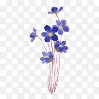 紫色的小花儿