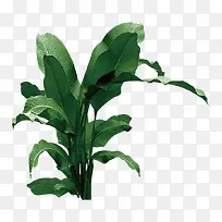 植物家居生活5