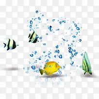 夏季热带鱼水花广告设计