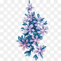 花枝