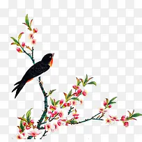 花枝绿叶黑色鸟