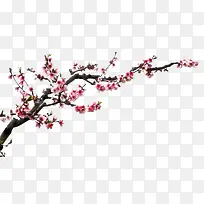 手绘桃花花朵花树装饰