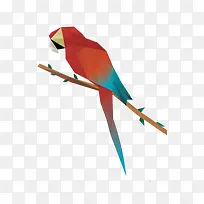 红色纸质鹦鹉