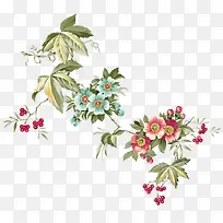 彩绘花朵花枝
