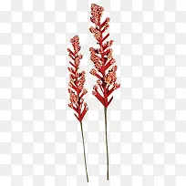 花果