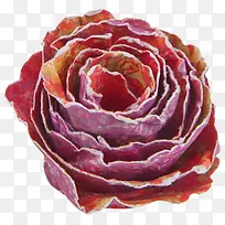 手绘花