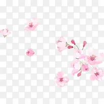 桃花花卉花纹图片