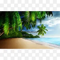 椰子树海滩大海宽屏