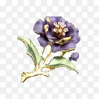 紫色花夹