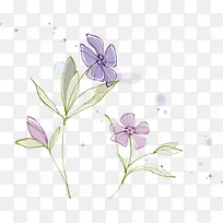 矢量水彩紫色小花
