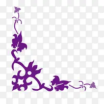 紫色角花