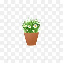 手绘一盆雏菊 png.