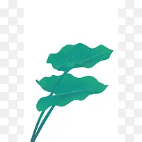 手绘绿色叶子.png