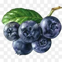 蓝莓果实装饰图片