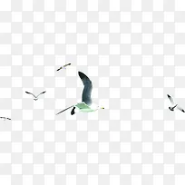 创意合成森林的飞翔的海鸥