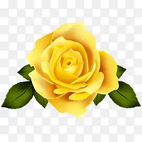 一朵黄色的玫瑰好看
