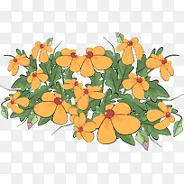 彩绘黄色花卉矢量图