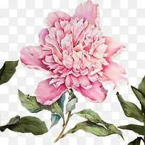 彩绘花卉图案