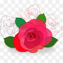 线条花花
