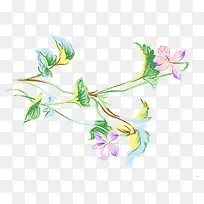 水彩花