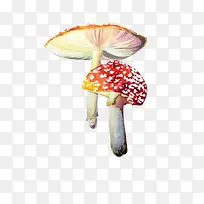 手绘蘑菇彩绘