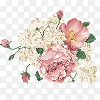 白粉色手绘花朵