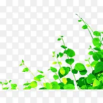 夏日海报绿色植物