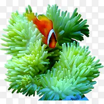绿色卡通创意水草