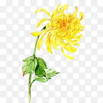 国潮菊花中国风手绘元素