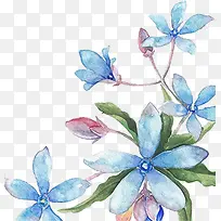 淡雅手绘花朵设计