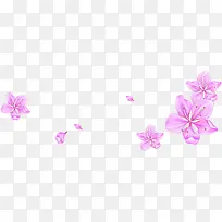 粉色彩绘花朵
