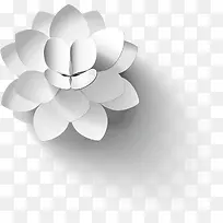 黑白手绘花朵淡雅