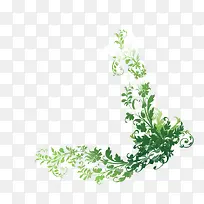 绿色植物花藤