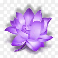 紫色手绘盛开莲花