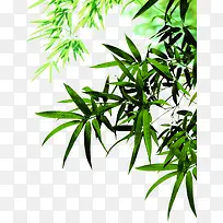 绿色植物树叶海报装饰