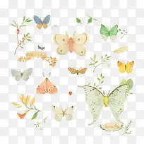 蝴蝶背景图