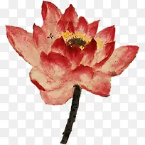 手绘红色水彩莲花