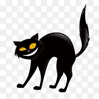 黑色小猫小动物