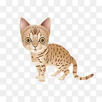 手绘小猫