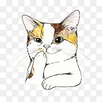 微信的小猫