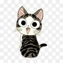 小花猫