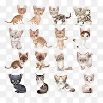 矢量猫咪