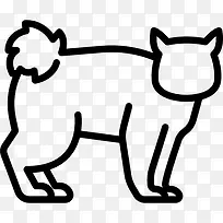 Kuril Bobtail Cat 图标