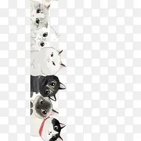 水彩小猫