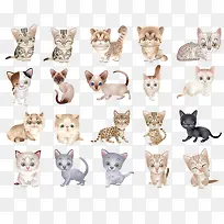 矢量小猫
